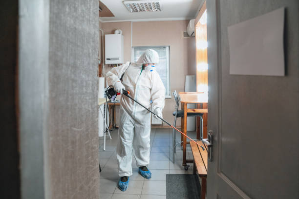 Why You Should Choose Our Mold Remediation Services in Evansville, WI